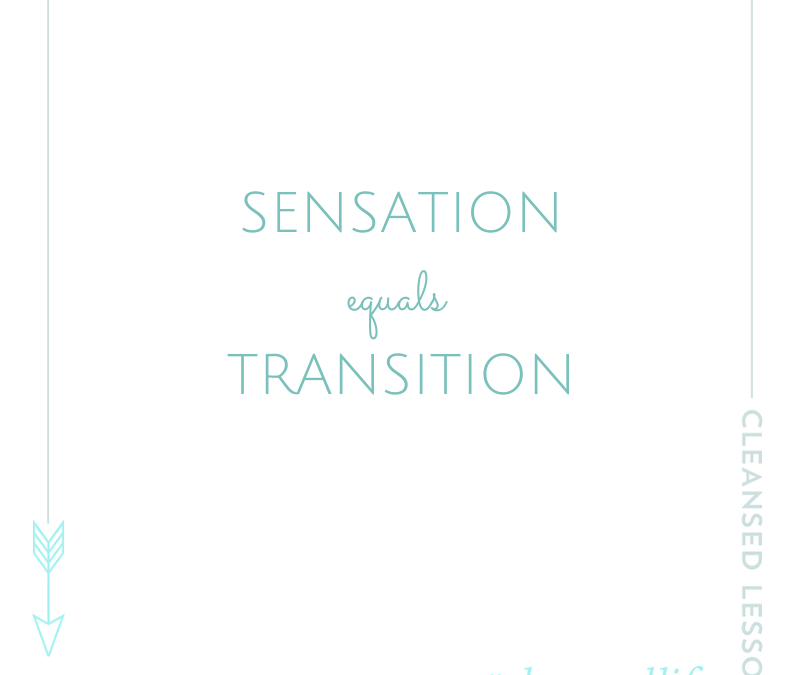 Why Sensation = Transformation (and how to find balance)